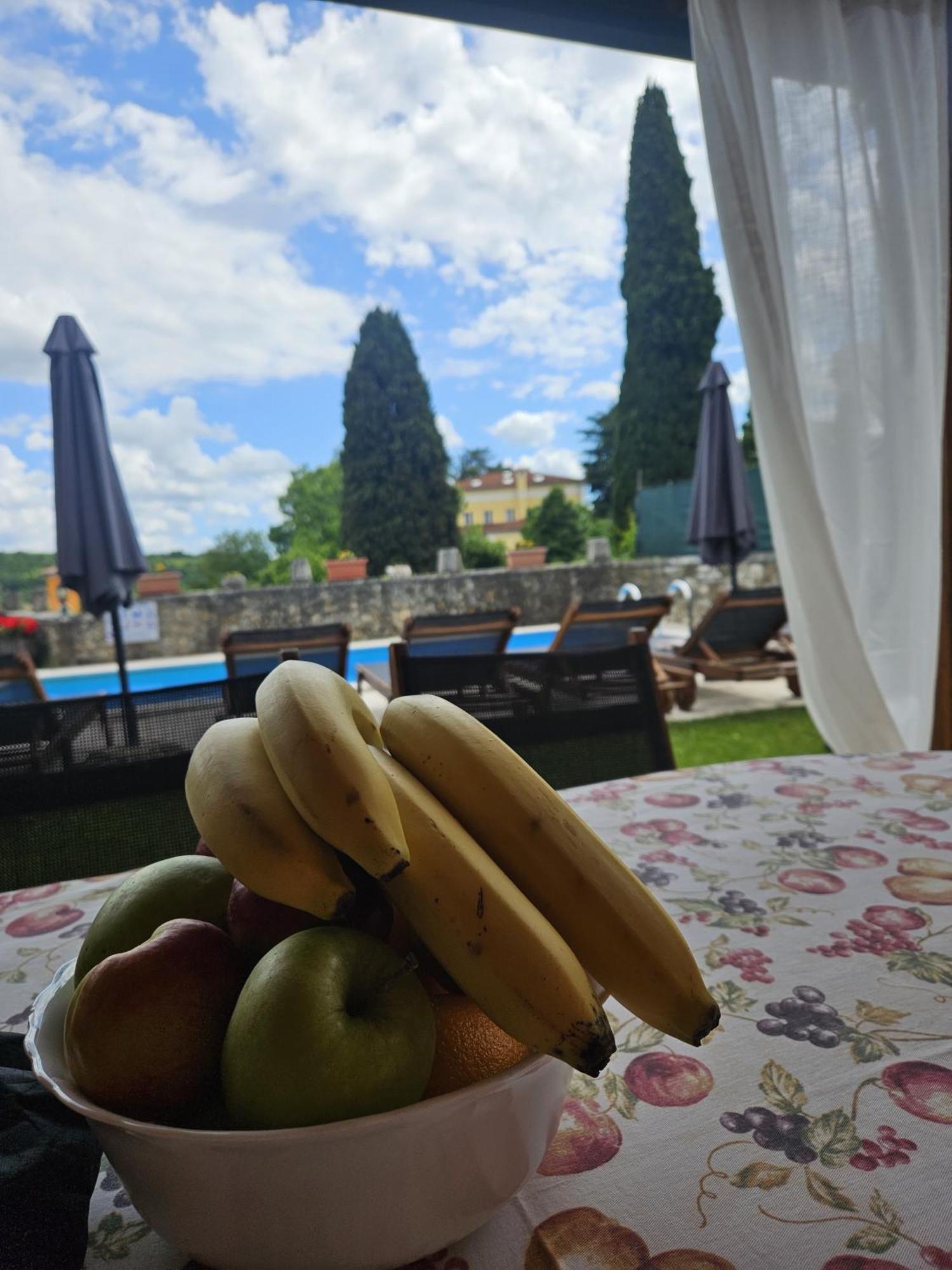 Villa Letizia Oprtalj Exterior foto
