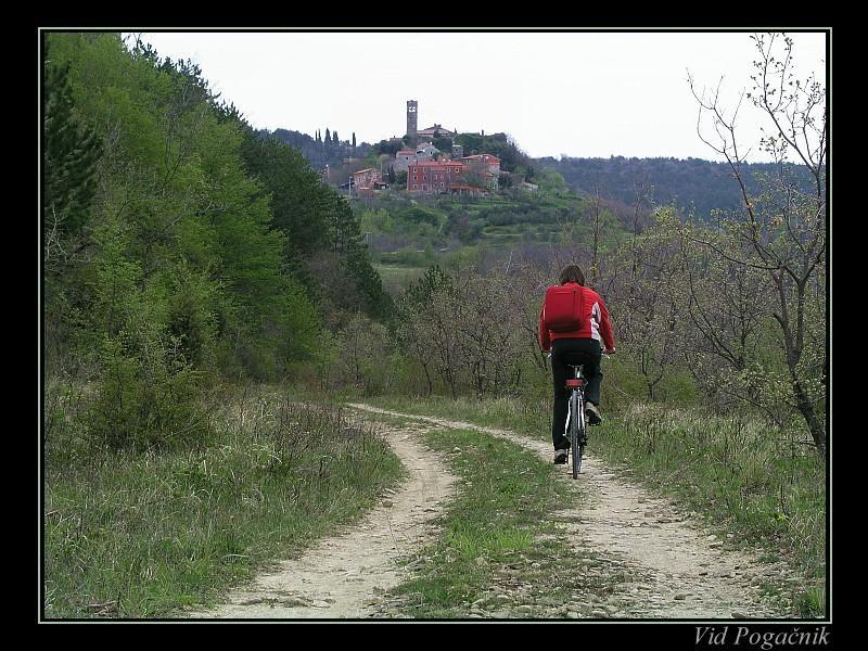Villa Letizia Oprtalj Cameră foto